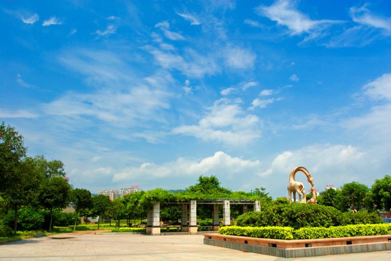 “圍捕雪豹”“漂流小孩哥大鬧幼兒園”等都是謠言！10起網(wǎng)絡(luò)謠言案件公布