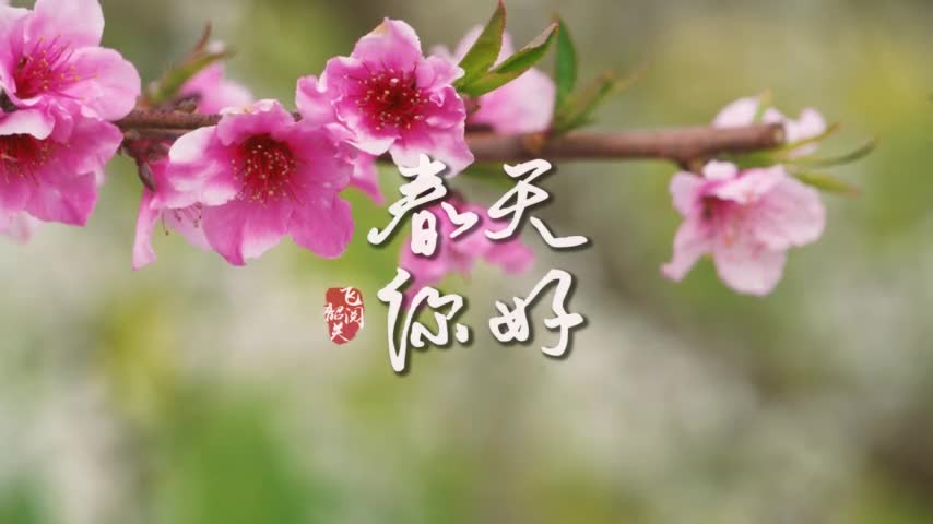 你好，韶關